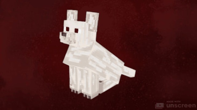 Snow Dog