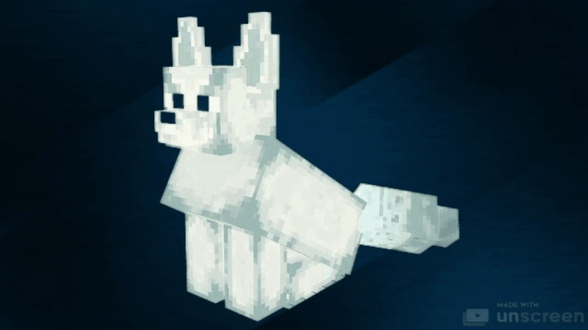 Animations