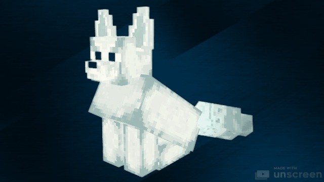 Snow Dog