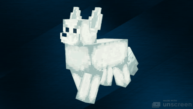 Animations