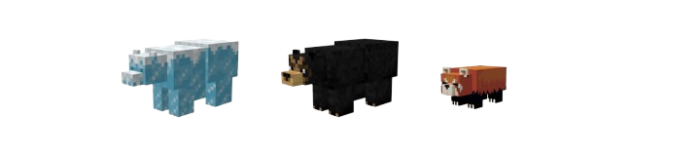 Black Bear
