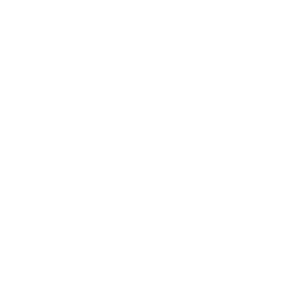 IcedFox Wikis logo